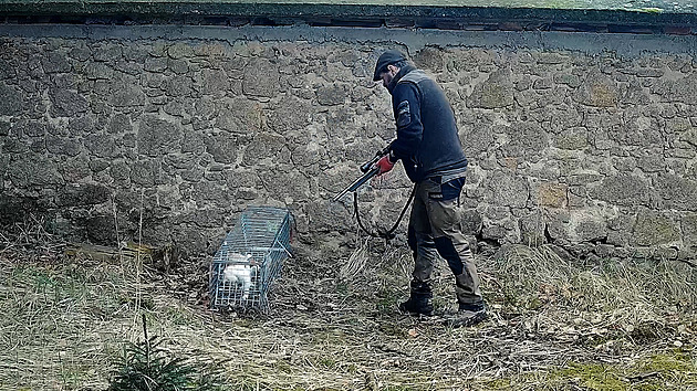 Trápil a zabíjel lapená zvířata. Policie znovu otevřela případ z obory Březka