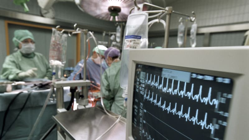 Tragédie v litoměřické porodnici: Během dne lékaři oživovali čtyři novorozence, dva zemřeli