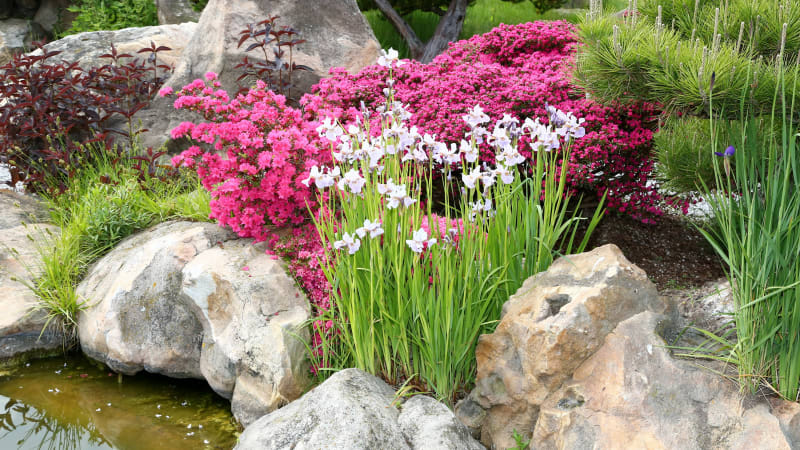 Slovenskem otřásla tragédie: Roční Alžbětka se utopila v zahradním jezírku při návštěvě babičky