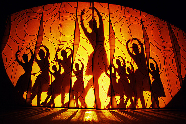 Od Emirátů po Madagaskar. Podivuhodný život ledové světoběžnice Kulované