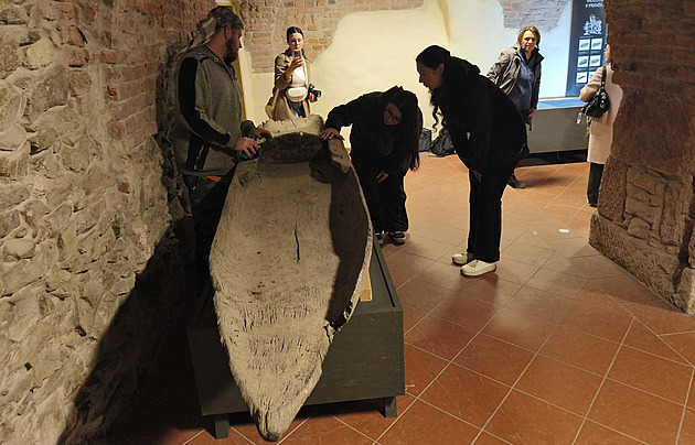 V Olomouci stěhovali středověkou loď z kmene, lidé ji uvidí poprvé po 64 letech